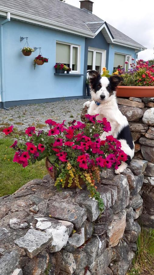 Clifden Wildflower Cottage - Clifden Countryside Lettings Exterior foto